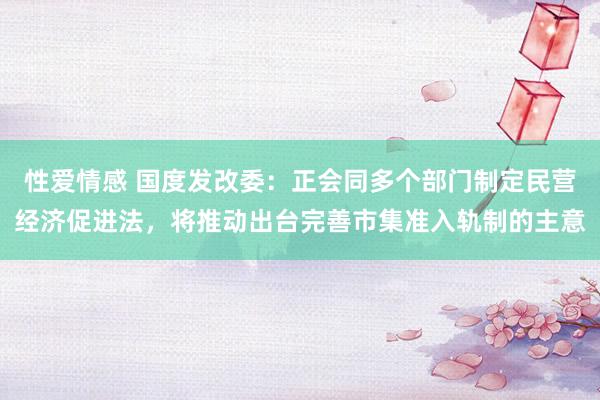 性爱情感 国度发改委：正会同多个部门制定民营经济促进法，将推动出台完善市集准入轨制的主意