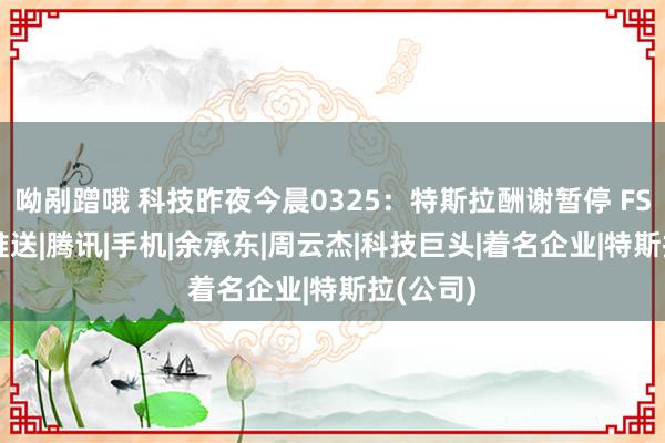 呦剐蹭哦 科技昨夜今晨0325：特斯拉酬谢暂停 FSD 试用推送|腾讯|手机|余承东|周云杰|科技巨头|着名企业|特斯拉(公司)