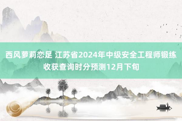 西风萝莉恋足 江苏省2024年中级安全工程师锻练收获查询时分预测12月下旬