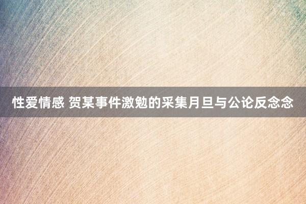 性爱情感 贺某事件激勉的采集月旦与公论反念念