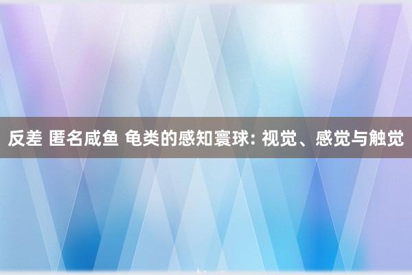 反差 匿名咸鱼 龟类的感知寰球: 视觉、感觉与触觉