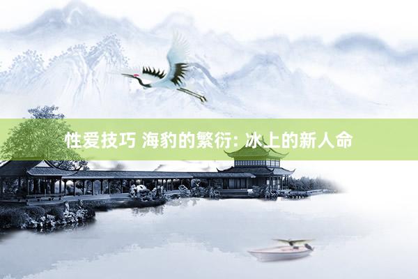 性爱技巧 海豹的繁衍: 冰上的新人命