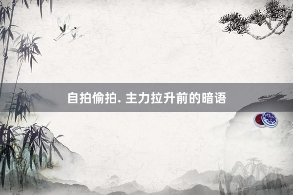 自拍偷拍. 主力拉升前的暗语