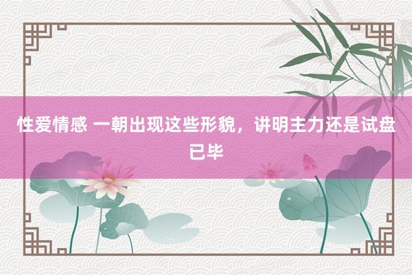 性爱情感 一朝出现这些形貌,讲明主力还是试盘已毕