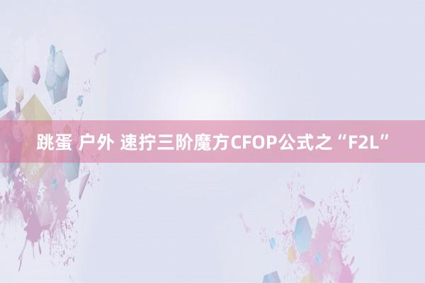 跳蛋 户外 速拧三阶魔方CFOP公式之“F2L”