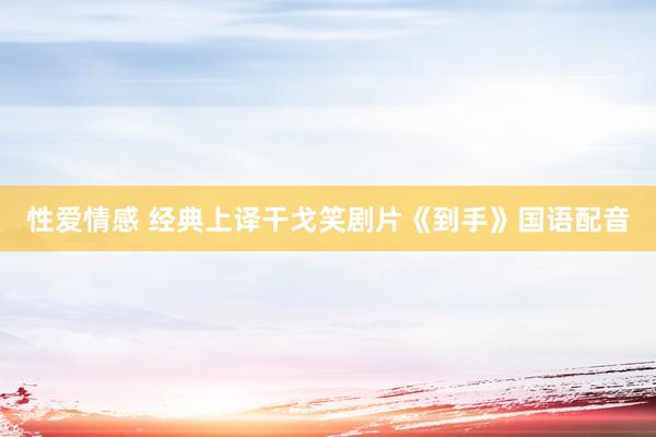 性爱情感 经典上译干戈笑剧片《到手》国语配音
